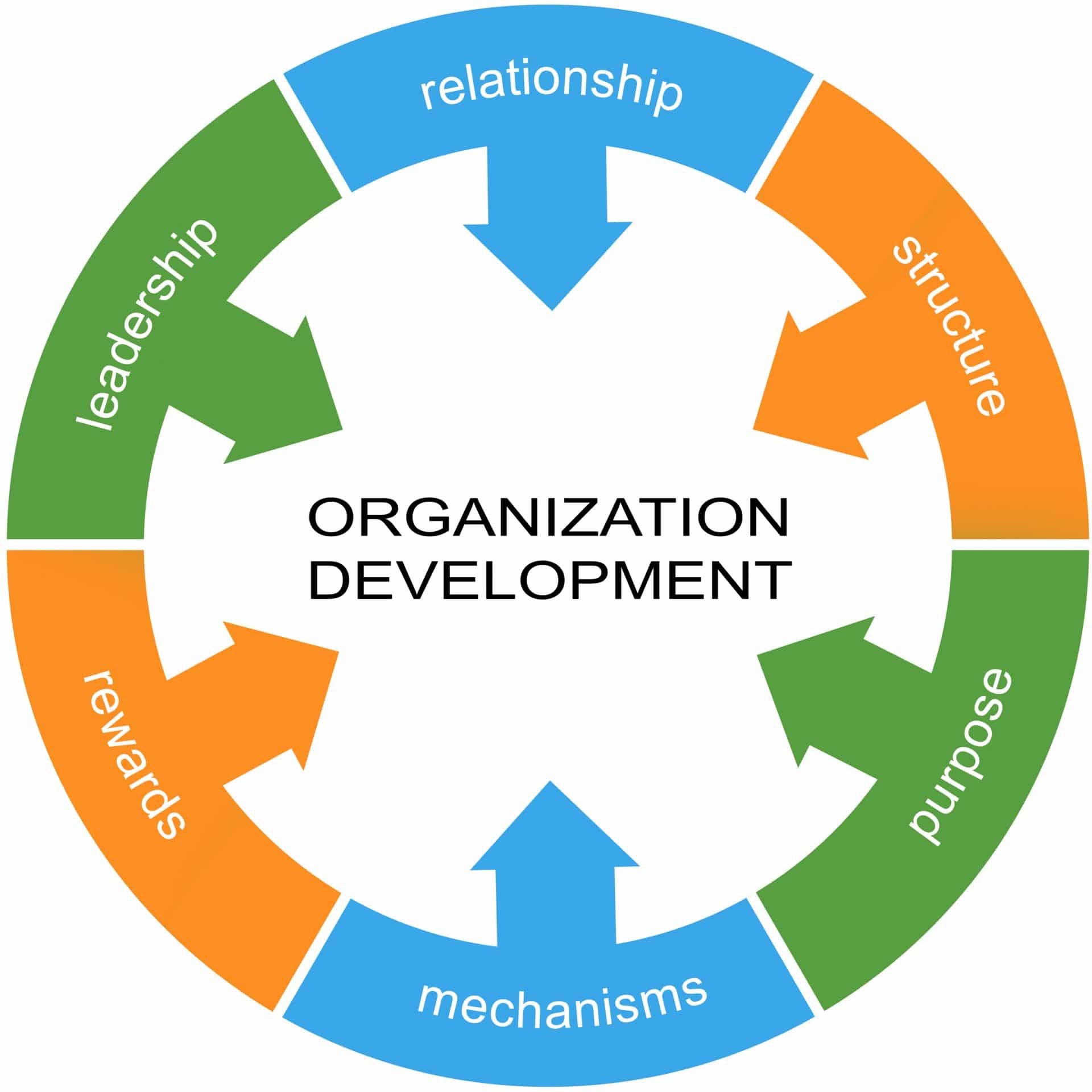 phd in organizational development online